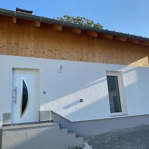 Felina Passau